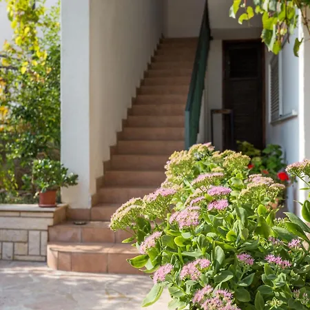 5953b Lejlighed Marina